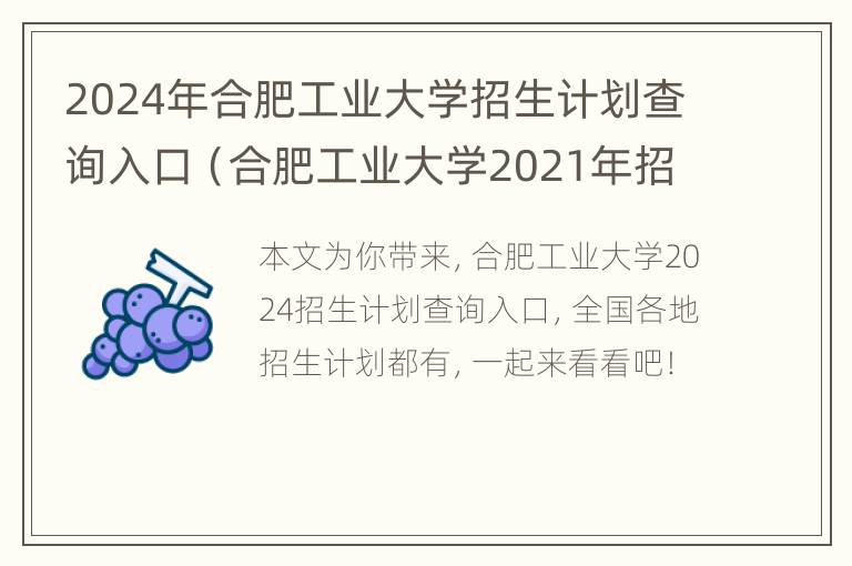 2024年合肥工业大学招生计划查询入口（合肥工业大学2021年招生目录）