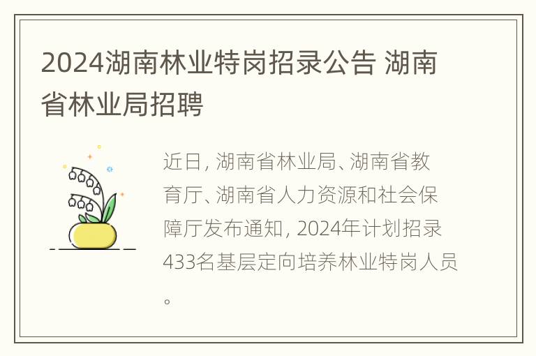 2024湖南林业特岗招录公告 湖南省林业局招聘