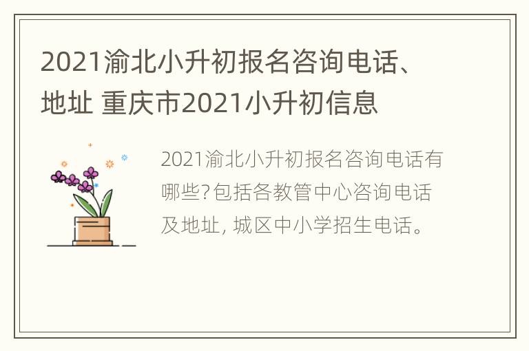 2021渝北小升初报名咨询电话、地址 重庆市2021小升初信息