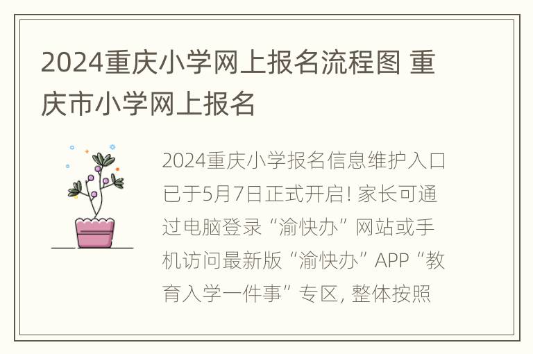 2024重庆小学网上报名流程图 重庆市小学网上报名