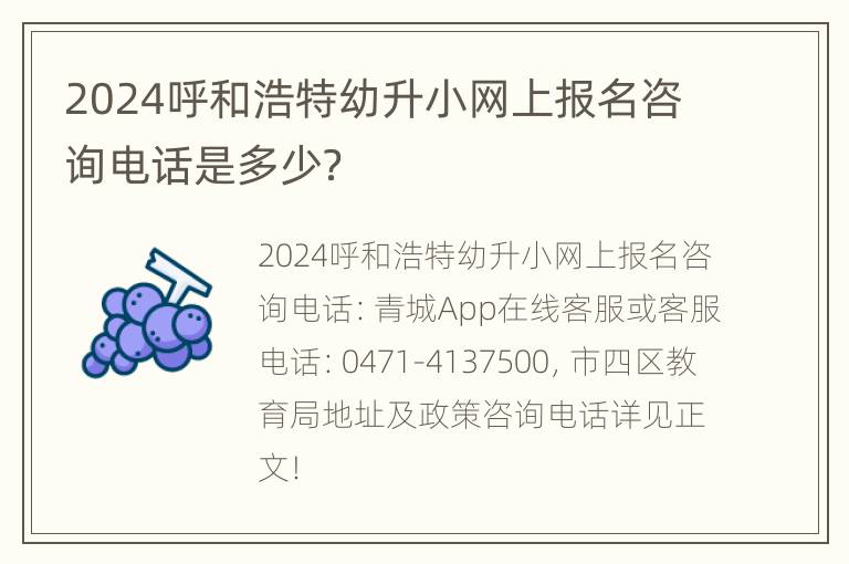 2024呼和浩特幼升小网上报名咨询电话是多少？