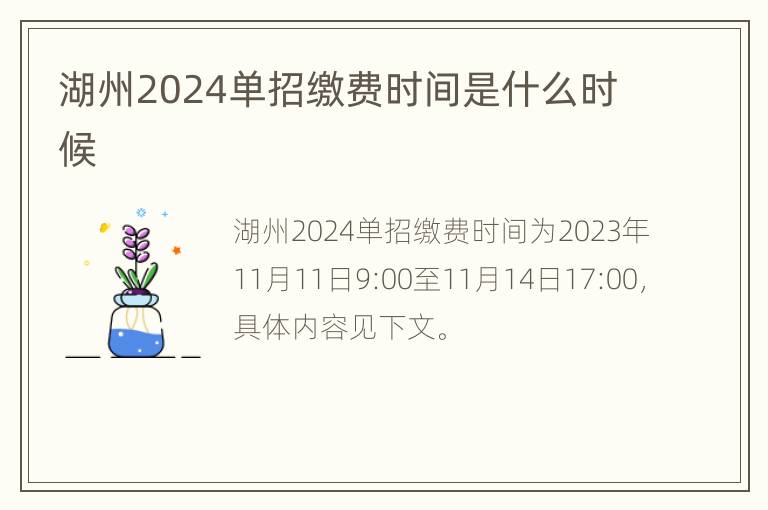 湖州2024单招缴费时间是什么时候