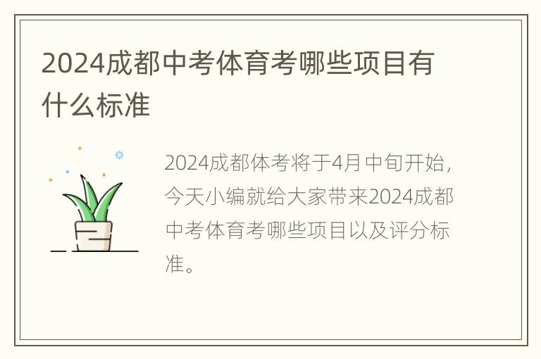 2024成都中考体育考哪些项目有什么标准