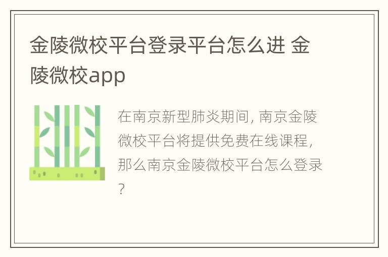 金陵微校平台登录平台怎么进 金陵微校app