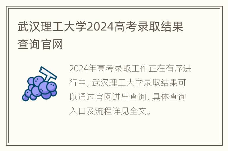 武汉理工大学2024高考录取结果查询官网