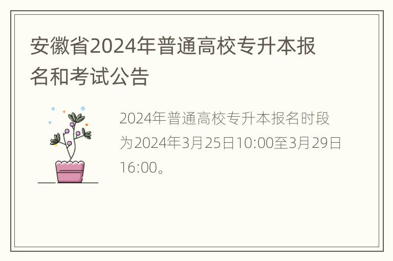 安徽省2024年普通高校专升本报名和考试公告