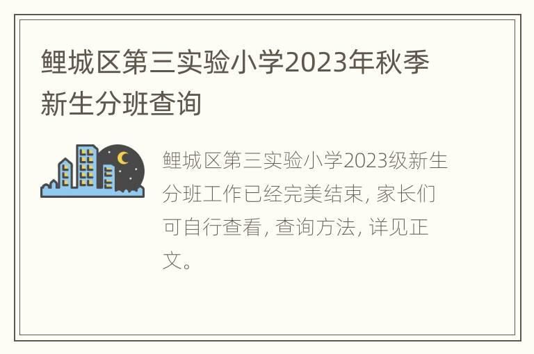 鲤城区第三实验小学2023年秋季新生分班查询