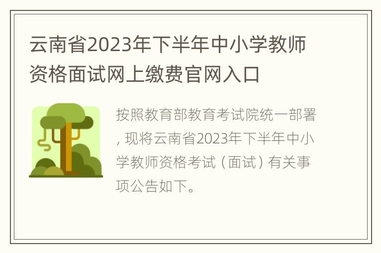 云南省2023年下半年中小学教师资格面试网上缴费官网入口