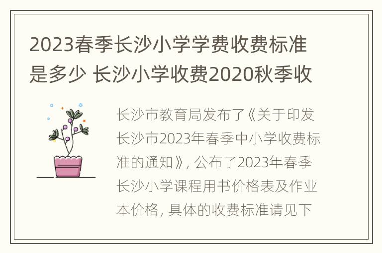 2023春季长沙小学学费收费标准是多少 长沙小学收费2020秋季收费多少