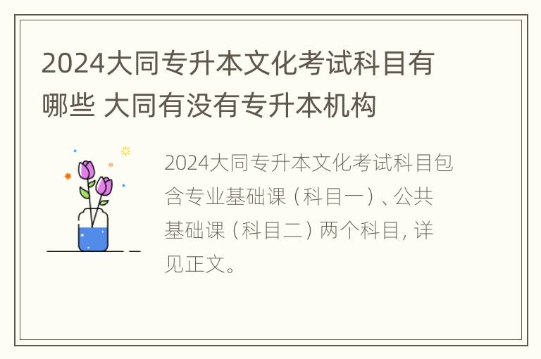 2024大同专升本文化考试科目有哪些 大同有没有专升本机构