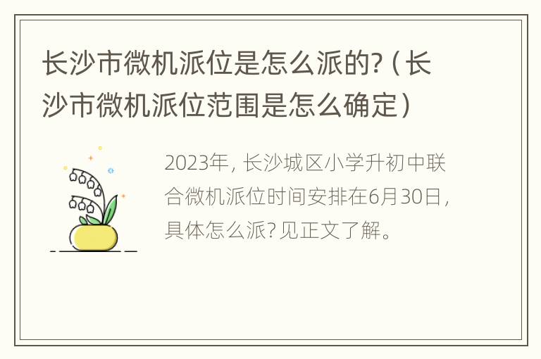 长沙市微机派位是怎么派的?（长沙市微机派位范围是怎么确定）