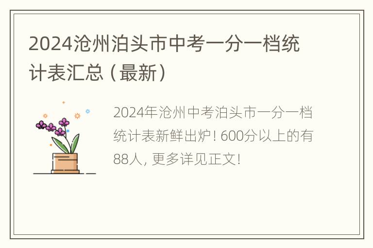 2024沧州泊头市中考一分一档统计表汇总（最新）