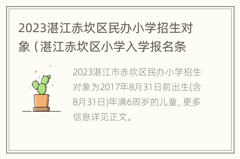 2023湛江赤坎区民办小学招生对象（湛江赤坎区小学入学报名条件）