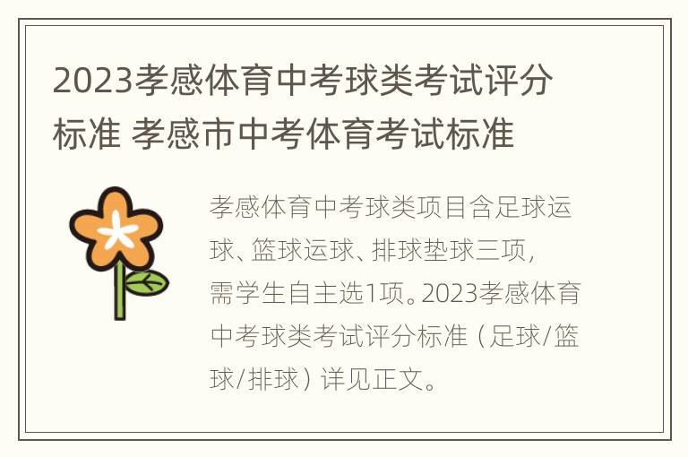 2023孝感体育中考球类考试评分标准 孝感市中考体育考试标准