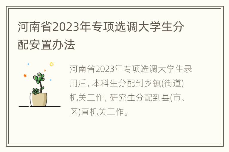 河南省2023年专项选调大学生分配安置办法