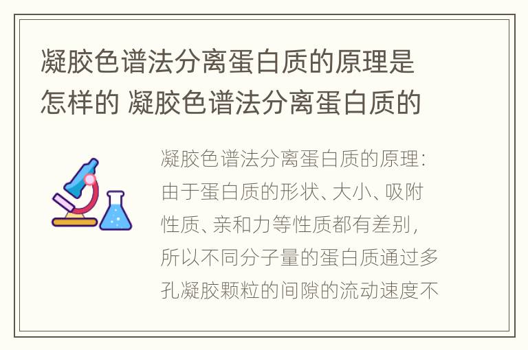 凝胶色谱法分离蛋白质的原理是怎样的 凝胶色谱法分离蛋白质的原理