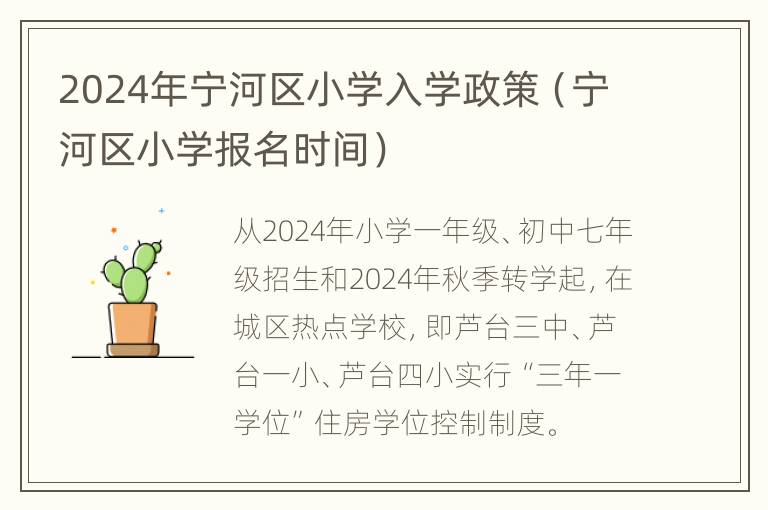 2024年宁河区小学入学政策（宁河区小学报名时间）