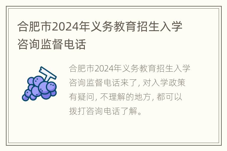 合肥市2024年义务教育招生入学咨询监督电话