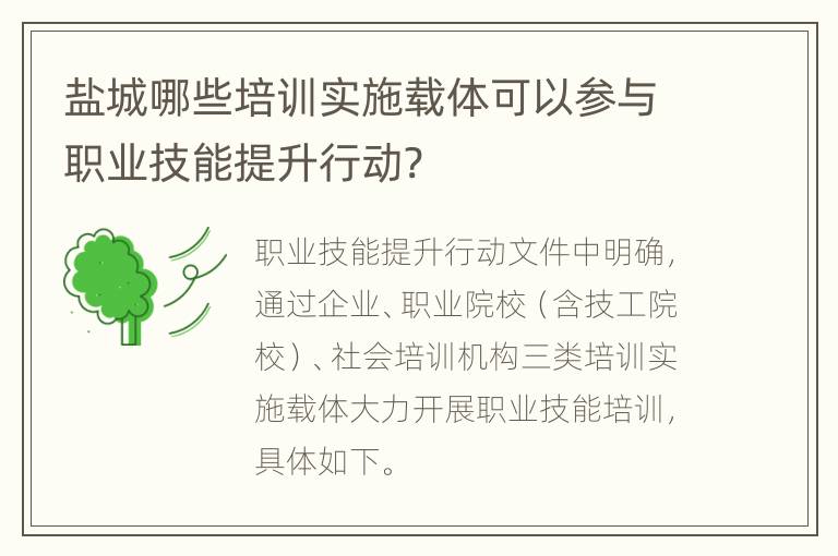 盐城哪些培训实施载体可以参与职业技能提升行动?