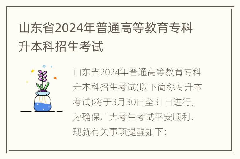 山东省2024年普通高等教育专科升本科招生考试