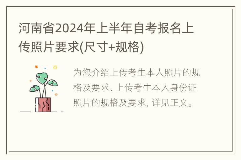 河南省2024年上半年自考报名上传照片要求(尺寸+规格)