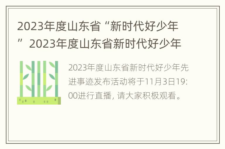 2023年度山东省“新时代好少年” 2023年度山东省新时代好少年