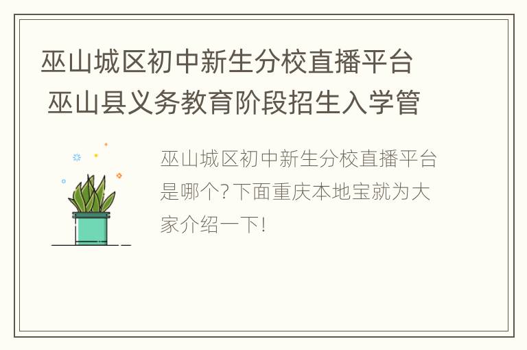 巫山城区初中新生分校直播平台 巫山县义务教育阶段招生入学管理系统