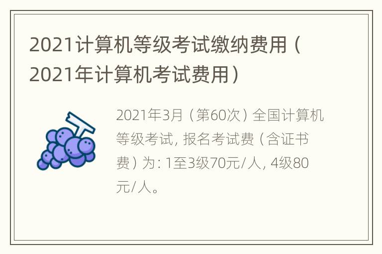 2021计算机等级考试缴纳费用（2021年计算机考试费用）