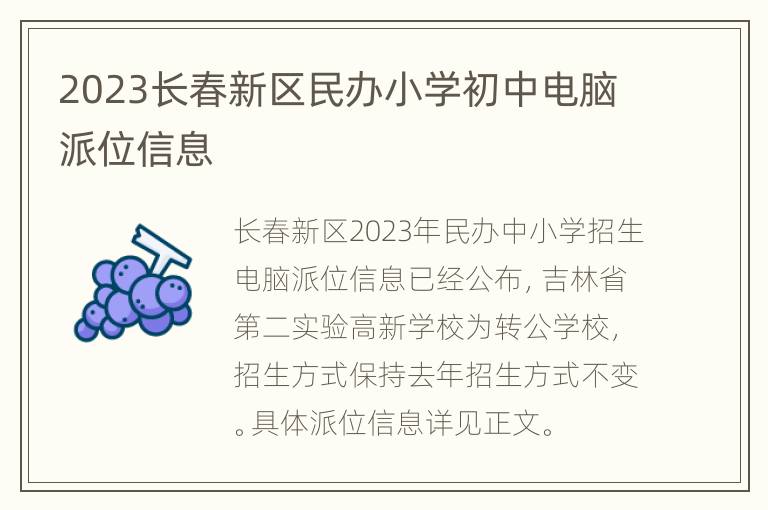 2023长春新区民办小学初中电脑派位信息