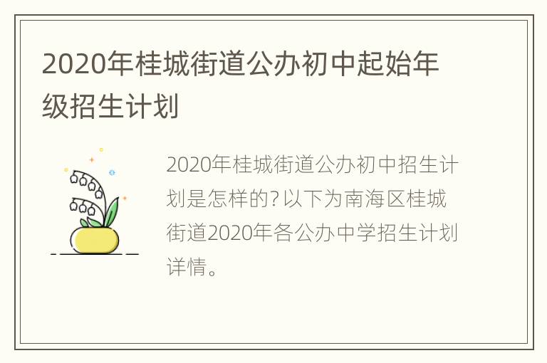 2020年桂城街道公办初中起始年级招生计划