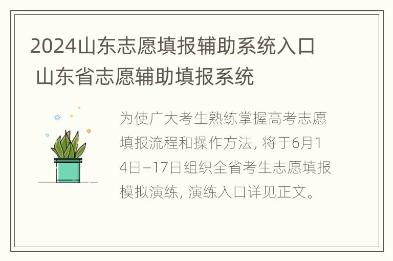 2024山东志愿填报辅助系统入口 山东省志愿辅助填报系统