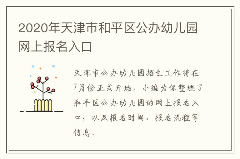 2020年天津市和平区公办幼儿园网上报名入口