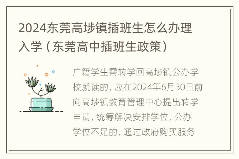 2024东莞高埗镇插班生怎么办理入学（东莞高中插班生政策）