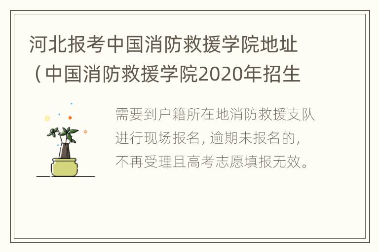 河北报考中国消防救援学院地址（中国消防救援学院2020年招生计划河北省的减员了）