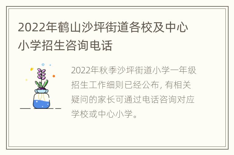 2022年鹤山沙坪街道各校及中心小学招生咨询电话