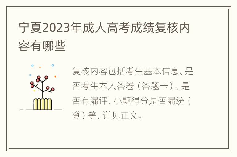 宁夏2023年成人高考成绩复核内容有哪些