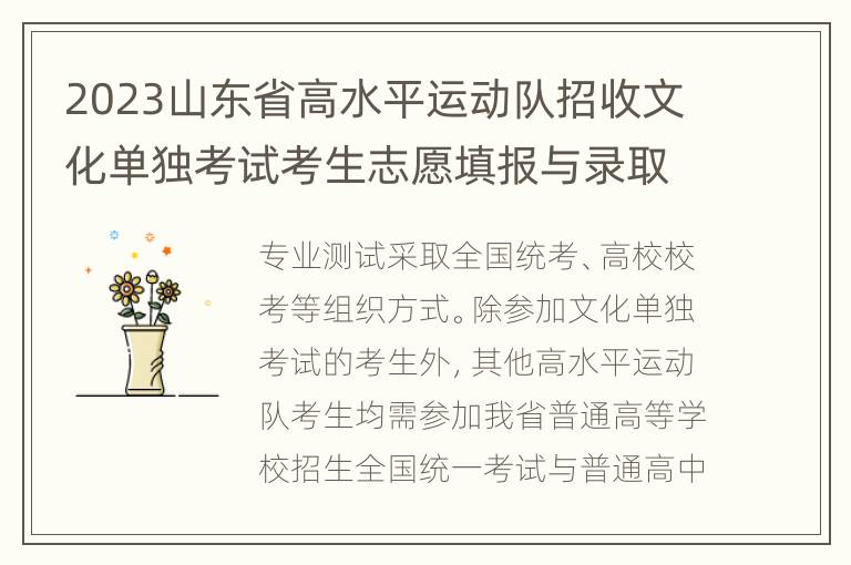 2023山东省高水平运动队招收文化单独考试考生志愿填报与录取流程