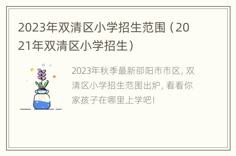 2023年双清区小学招生范围（2021年双清区小学招生）