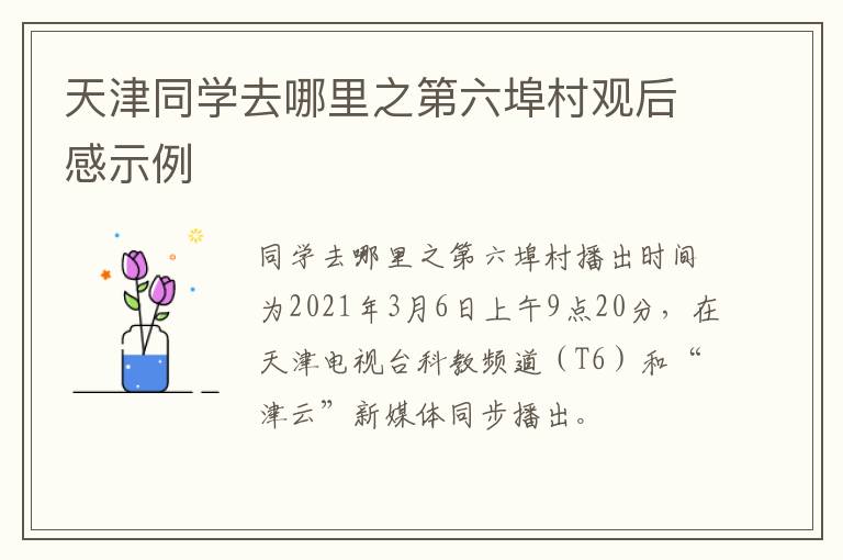 天津同学去哪里之第六埠村观后感示例