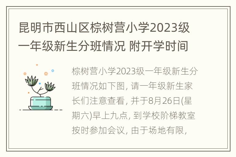 昆明市西山区棕树营小学2023级一年级新生分班情况 附开学时间