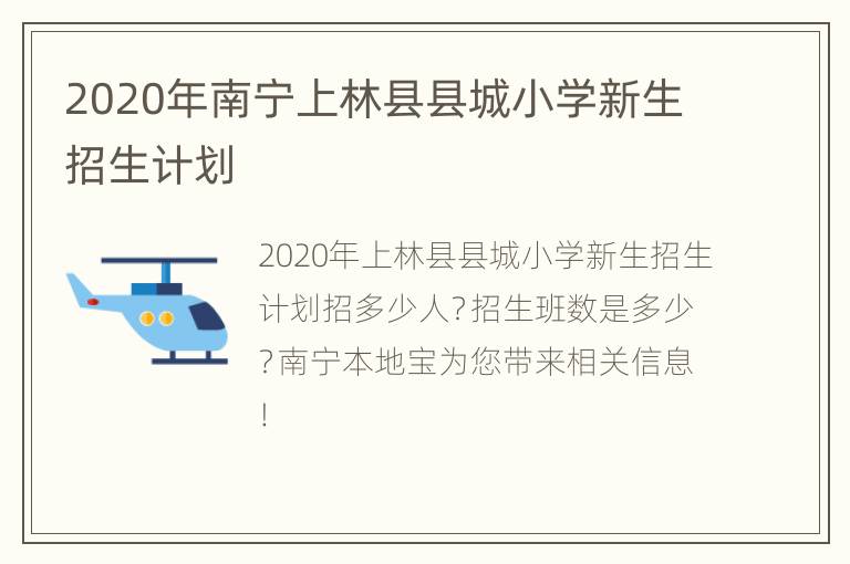 2020年南宁上林县县城小学新生招生计划