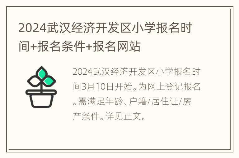 2024武汉经济开发区小学报名时间+报名条件+报名网站