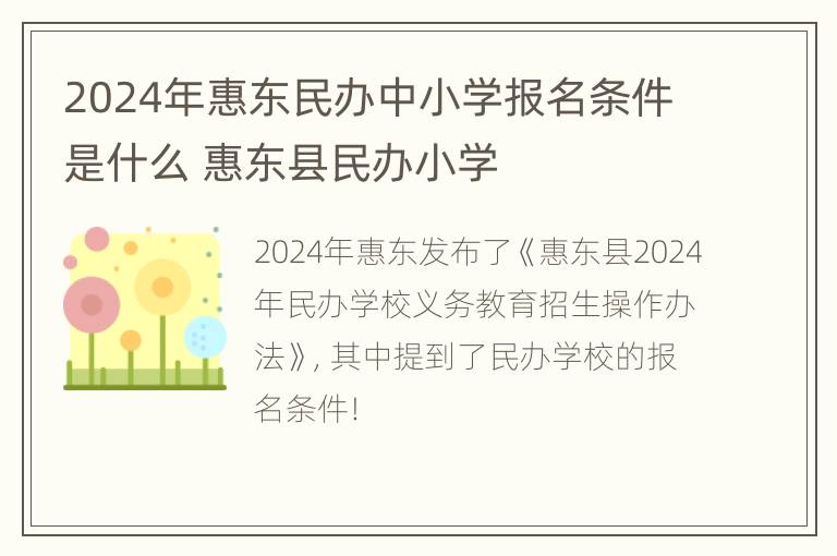 2024年惠东民办中小学报名条件是什么 惠东县民办小学