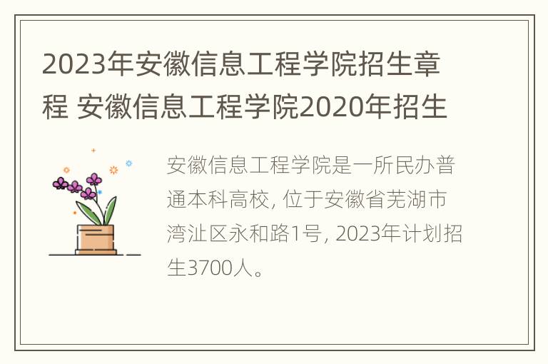 2023年安徽信息工程学院招生章程 安徽信息工程学院2020年招生计划