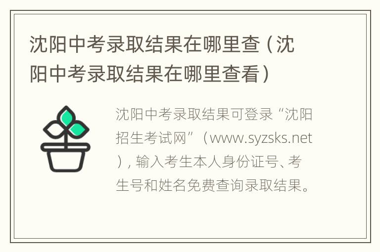 沈阳中考录取结果在哪里查（沈阳中考录取结果在哪里查看）