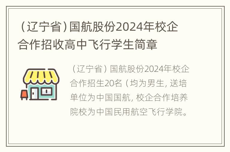 （辽宁省）国航股份2024年校企合作招收高中飞行学生简章