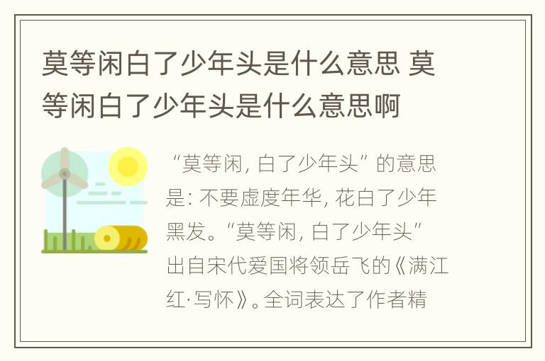 莫等闲白了少年头是什么意思 莫等闲白了少年头是什么意思啊