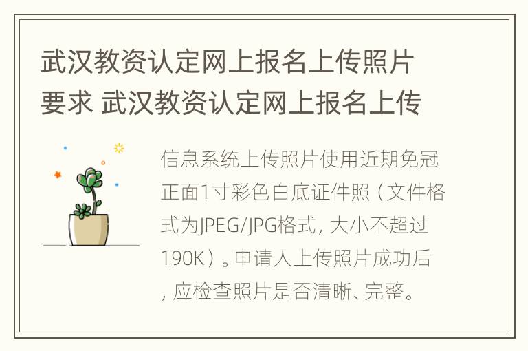 武汉教资认定网上报名上传照片要求 武汉教资认定网上报名上传照片要求是什么