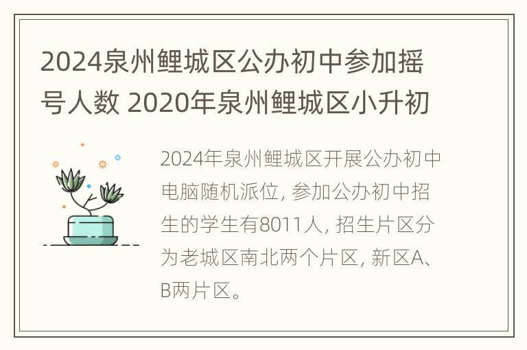 2024泉州鲤城区公办初中参加摇号人数 2020年泉州鲤城区小升初政策