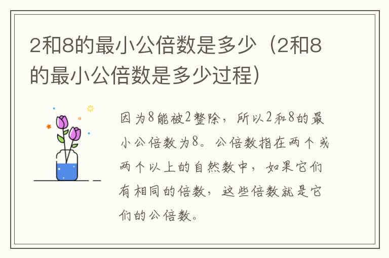 2和8的最小公倍数是多少（2和8的最小公倍数是多少过程）